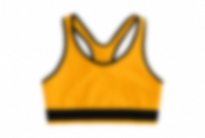 Sports <strong>Bra</strong>